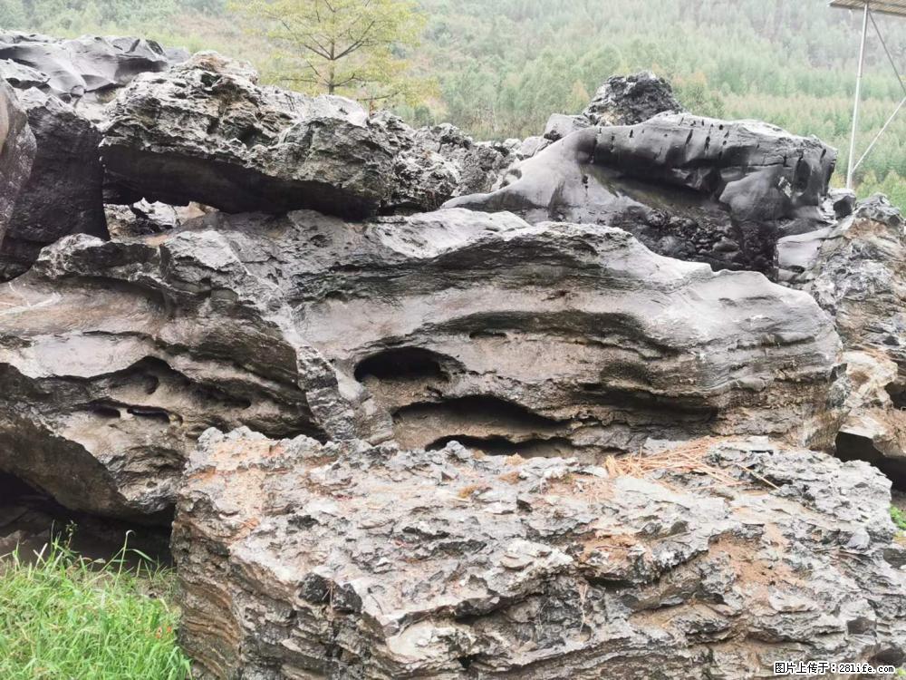 风景石、假山石大量有货,有需要的欢迎联系 - 新手上路 - 南充生活社区 - 南充28生活网 nanchong.28life.com