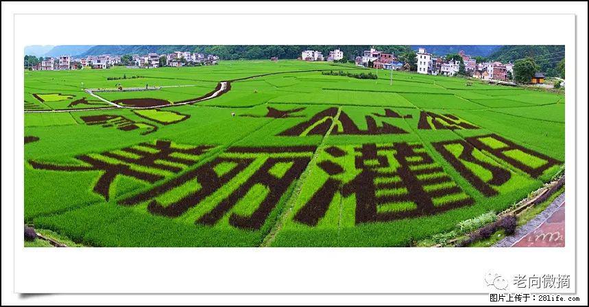 【春天，广西桂林灌阳县向您发出邀请！】开篇 - 游山玩水 - 南充生活社区 - 南充28生活网 nanchong.28life.com