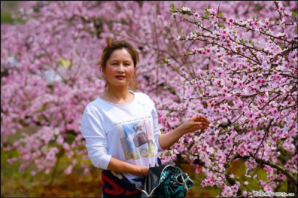 【春天，广西桂林灌阳县向您发出邀请！】官庄村有个醉美的桃花园 - 游山玩水 - 南充生活社区 - 南充28生活网 nanchong.28life.com