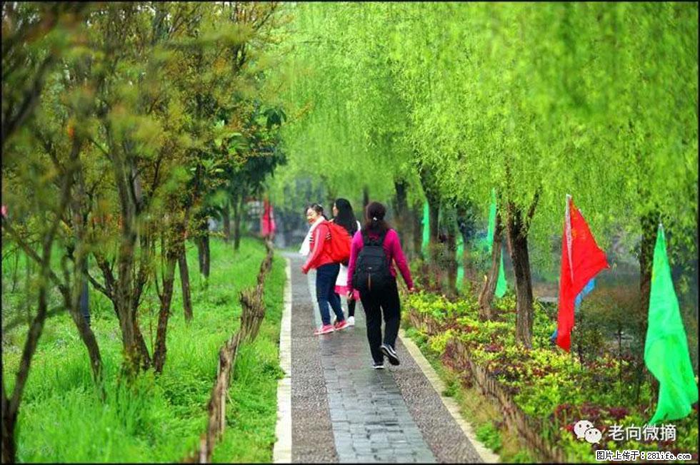 【春天，广西桂林灌阳县向您发出邀请！】江口老街又逢春 - 游山玩水 - 南充生活社区 - 南充28生活网 nanchong.28life.com