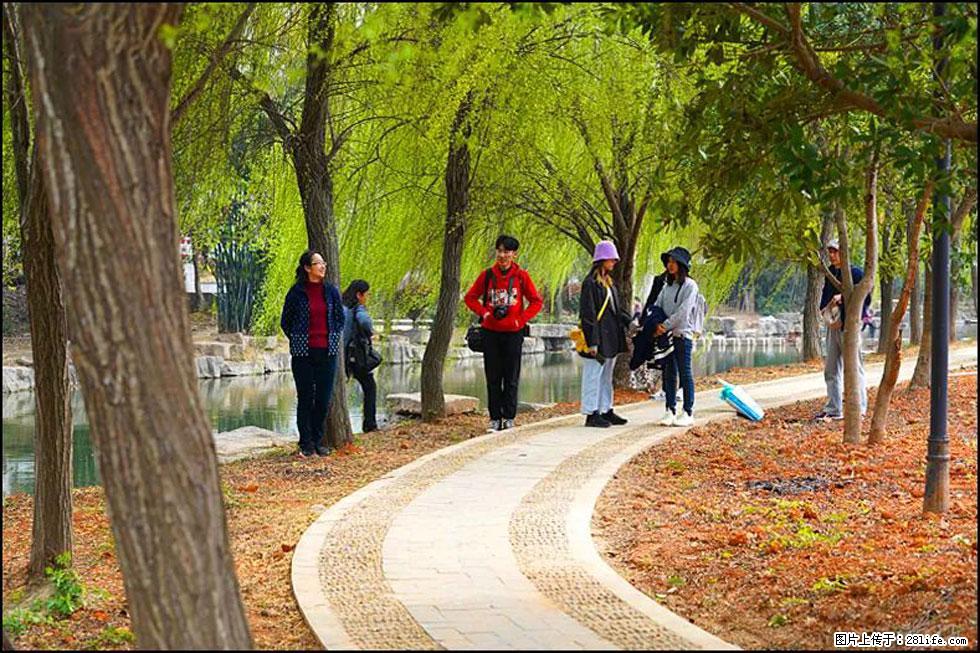 【春天，广西桂林灌阳县向您发出邀请！】江口老街又逢春 - 游山玩水 - 南充生活社区 - 南充28生活网 nanchong.28life.com