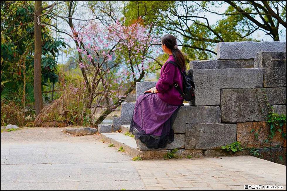 【春天，广西桂林灌阳县向您发出邀请！】江口老街又逢春 - 游山玩水 - 南充生活社区 - 南充28生活网 nanchong.28life.com