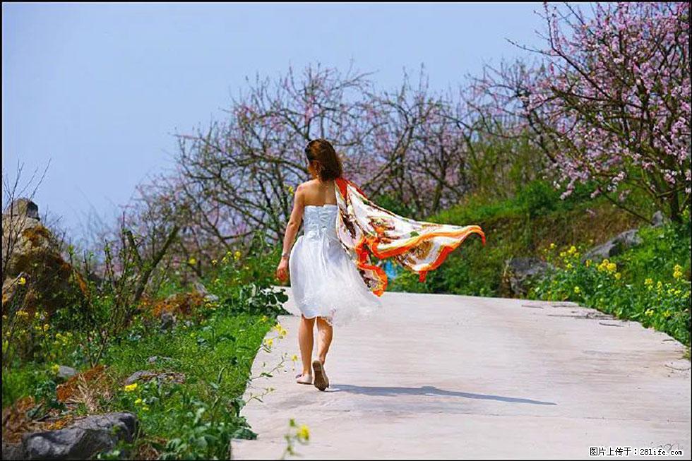 【春天,广西桂林灌阳县向您发出邀请!】望月岭上桃花开 - 游山玩水 - 南充生活社区 - 南充28生活网 nanchong.28life.com