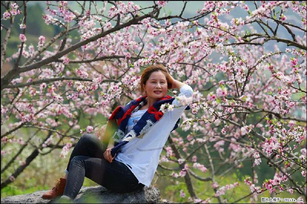 【春天,广西桂林灌阳县向您发出邀请!】望月岭上桃花开 - 游山玩水 - 南充生活社区 - 南充28生活网 nanchong.28life.com