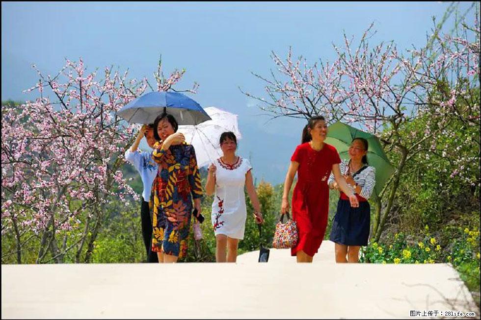 【春天,广西桂林灌阳县向您发出邀请!】望月岭上桃花开 - 游山玩水 - 南充生活社区 - 南充28生活网 nanchong.28life.com