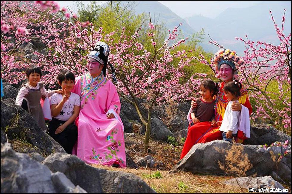 【春天,广西桂林灌阳县向您发出邀请!】望月岭上桃花开 - 游山玩水 - 南充生活社区 - 南充28生活网 nanchong.28life.com