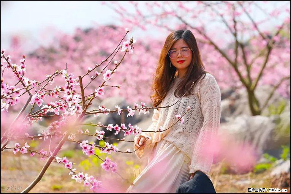 【春天,广西桂林灌阳县向您发出邀请!】望月岭上桃花开 - 游山玩水 - 南充生活社区 - 南充28生活网 nanchong.28life.com