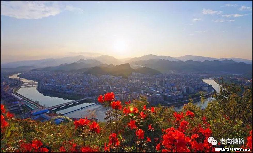 【春天,广西桂林灌阳县向您发出邀请!】登麒麟山,相约映山红 - 游山玩水 - 南充生活社区 - 南充28生活网 nanchong.28life.com