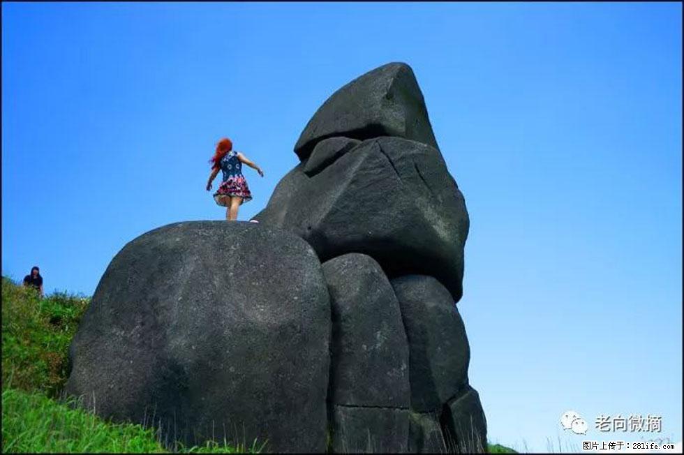 【春天,广西桂林灌阳县向您发出邀请!】宝盖山上映山红 - 游山玩水 - 南充生活社区 - 南充28生活网 nanchong.28life.com