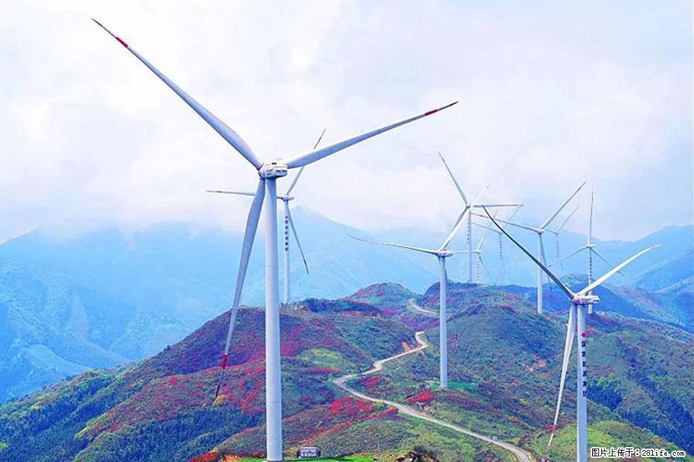 【春天，广西桂林灌阳县向您发出邀请！】春木界上映山红 - 游山玩水 - 南充生活社区 - 南充28生活网 nanchong.28life.com