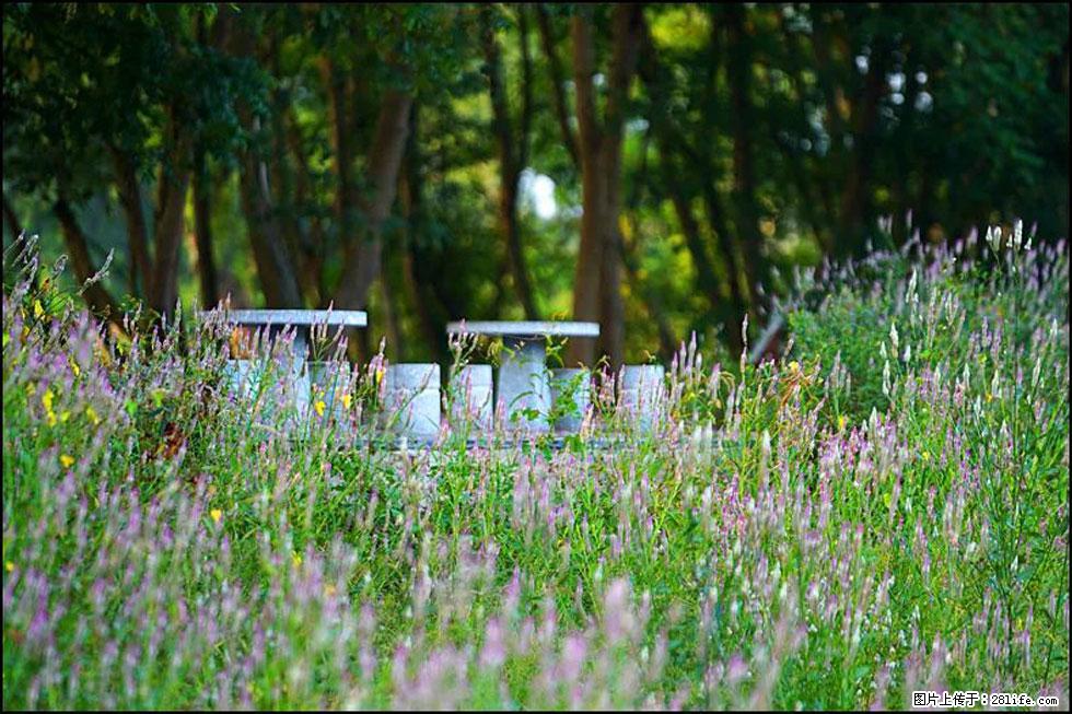 【春天,广西桂林灌阳县向您发出邀请!】熊家寨湿地公园 - 游山玩水 - 南充生活社区 - 南充28生活网 nanchong.28life.com