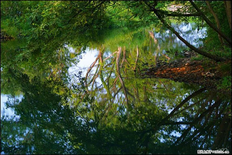 【春天,广西桂林灌阳县向您发出邀请!】熊家寨湿地公园 - 游山玩水 - 南充生活社区 - 南充28生活网 nanchong.28life.com