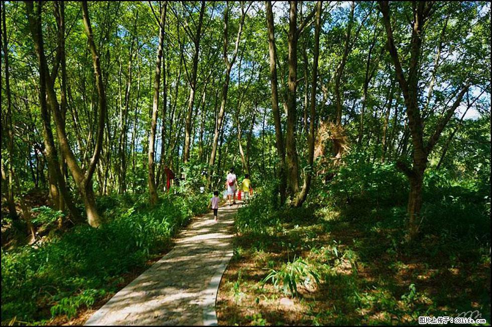 【春天,广西桂林灌阳县向您发出邀请!】熊家寨湿地公园 - 游山玩水 - 南充生活社区 - 南充28生活网 nanchong.28life.com