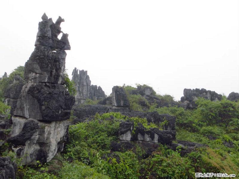 桂林旅游名城景点：灌阳文市石林 - 游山玩水 - 南充生活社区 - 南充28生活网 nanchong.28life.com