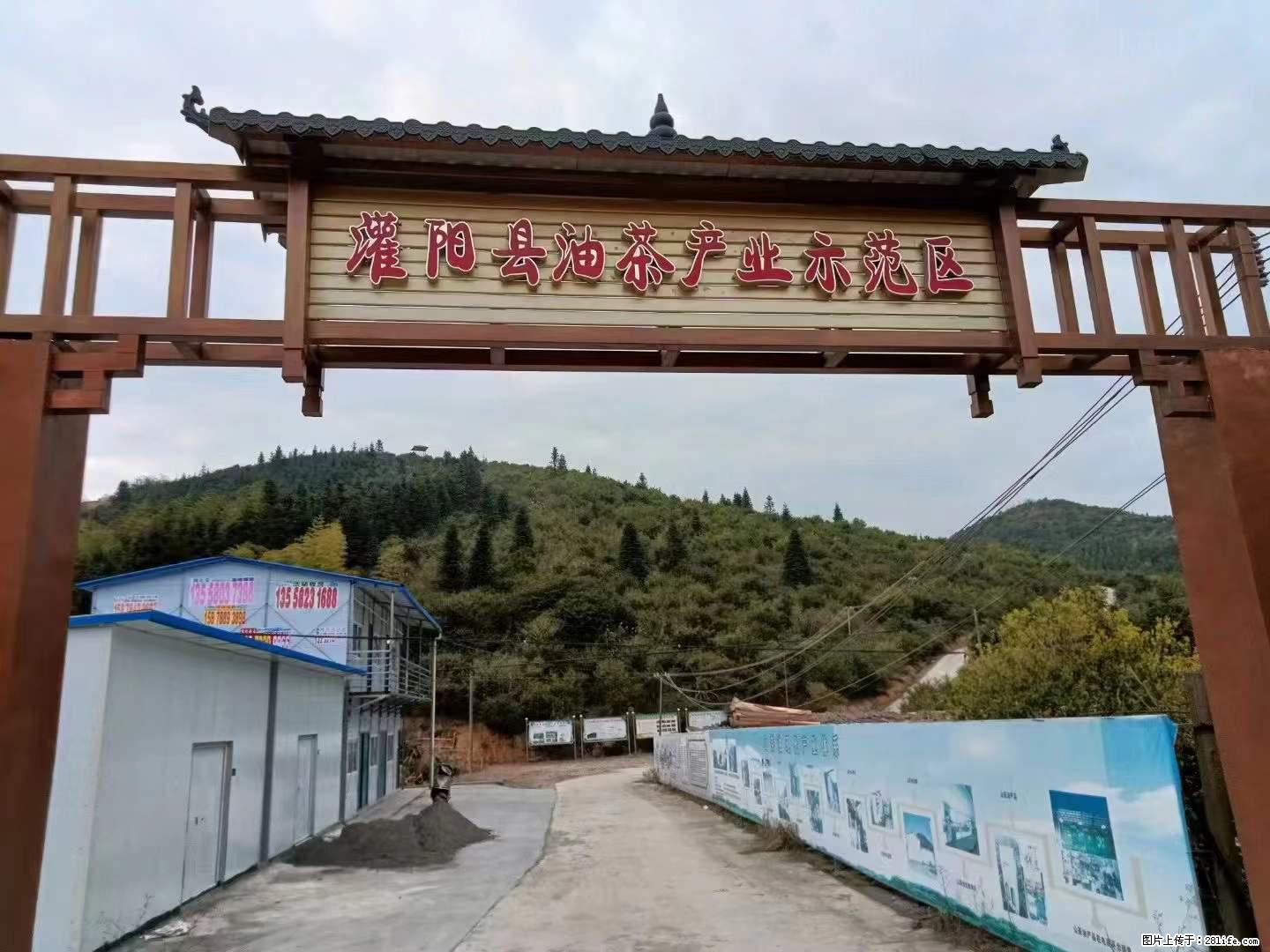 【灌阳县油茶产业示范区】一个有着充实的精神生活的人,对待身外之物自会有一种淡泊的态度 - 美食天地 - 南充生活社区 - 南充28生活网 nanchong.28life.com