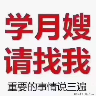 为什么要学习月嫂,育婴师? - 南充28生活网 nanchong.28life.com