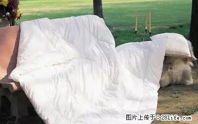 被子有异味？只要这样做，比晒太阳还强100倍！ - 家居生活 - 南充生活社区 - 南充28生活网 nanchong.28life.com
