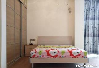 《滨江首座！》温馨套一、电梯公寓、全套家电、舒适的好房 - 南充28生活网 nanchong.28life.com