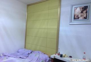 南门坝 蓝光香江国际 精装房出租！1.8万一年！ - 南充28生活网 nanchong.28life.com