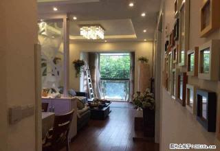 新东豪园 精品电梯两房 家电齐全 随时看房 拎包入住 - 南充28生活网 nanchong.28life.com