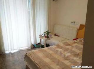 蓝光大润发楼上 精装小户型 家具家电齐全 拎包入住 - 南充28生活网 nanchong.28life.com