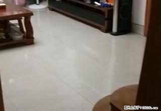 火车站附近南洋怡苑三楼两室两厅,家电全齐。物管费用低 - 南充28生活网 nanchong.28life.com