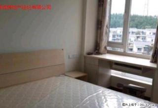 东方国际 豪华装修 家电家具齐全 拎包入住 - 南充28生活网 nanchong.28life.com