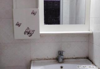 玉带北路邮政小区1楼 楼中楼 精装修1室出租 - 南充28生活网 nanchong.28life.com