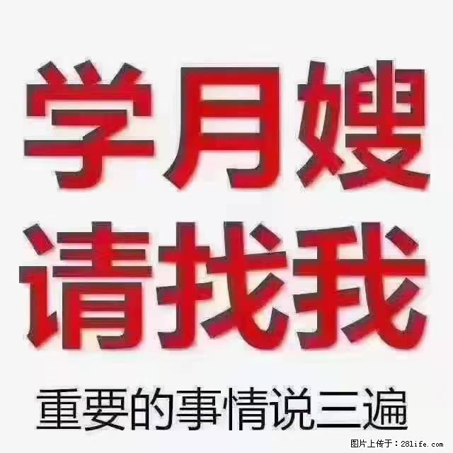 【招聘】月嫂,上海徐汇区 - 职场交流 - 南充生活社区 - 南充28生活网 nanchong.28life.com