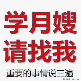 【招聘】月嫂，上海徐汇区 - 南充28生活网 nanchong.28life.com