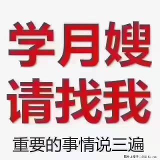 【招聘】月嫂,上海徐汇区 - 南充28生活网 nanchong.28life.com