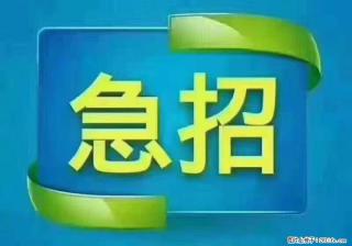 招出纳8000元/月，无证可以，要有相关经验，上海五险一金，包住，包工作餐，做六休一。 - 南充28生活网 nanchong.28life.com