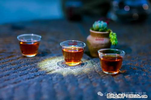 时间果百年古树2025年春红茶 - 购物交流 - 南充生活社区 - 南充28生活网 nanchong.28life.com