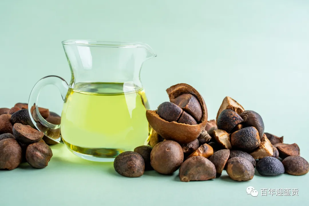 世界没有真相,只有认知,最好的食用油是中国的山茶油! - 南充生活资讯 - 南充28生活网 nanchong.28life.com