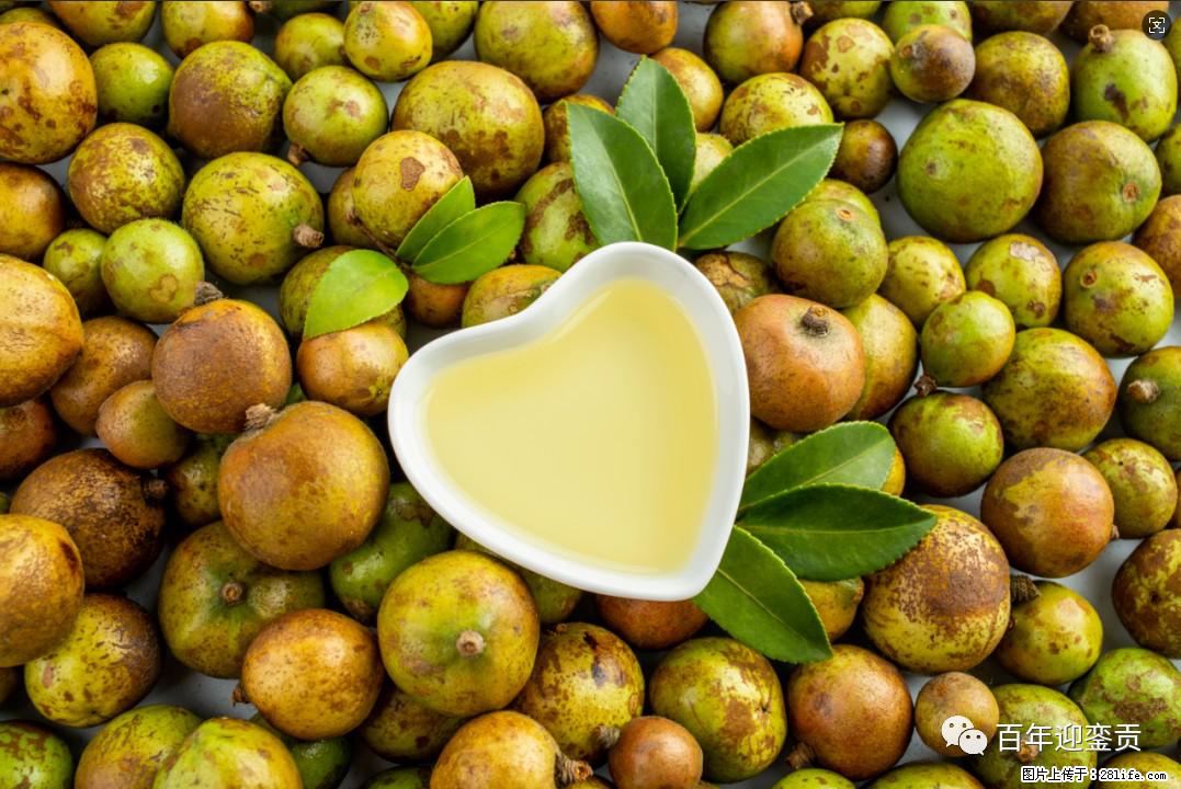 世界没有真相,只有认知,最好的食用油是中国的山茶油! - 南充生活资讯 - 南充28生活网 nanchong.28life.com