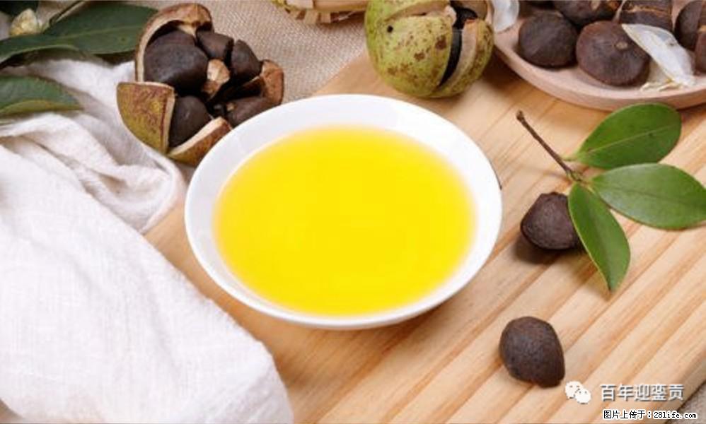 世界没有真相,只有认知,最好的食用油是中国的山茶油! - 南充生活资讯 - 南充28生活网 nanchong.28life.com