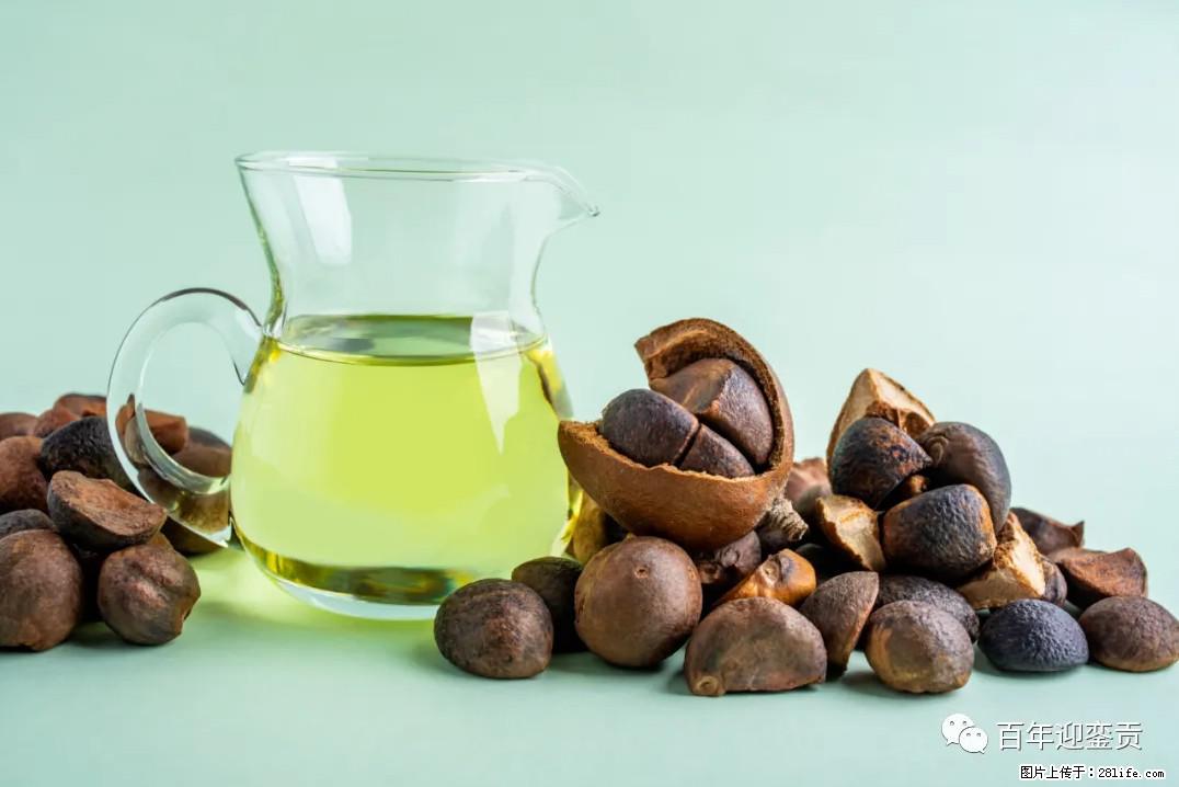 世界没有真相,只有认知,最好的食用油是中国的山茶油! - 南充生活资讯 - 南充28生活网 nanchong.28life.com