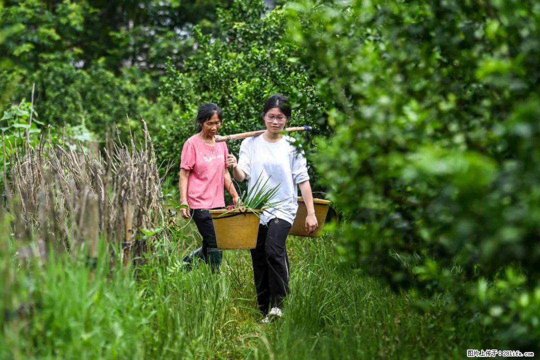 全网追的“扁担女孩”,找了一份暑假工,时薪12元 - 南充生活资讯 - 南充28生活网 nanchong.28life.com