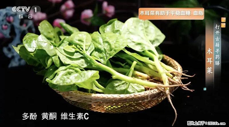 比牛奶补钙还厉害！凉血解毒、稳血糖...这菜冬天必吃，很多人却当草 - 南充生活资讯 - 南充28生活网 nanchong.28life.com