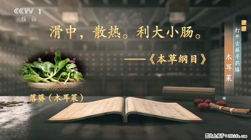 比牛奶补钙还厉害！凉血解毒、稳血糖...这菜冬天必吃，很多人却当草 - 南充生活资讯 - 南充28生活网 nanchong.28life.com