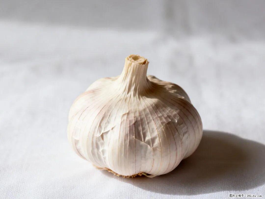 关于大蒜，除了“天然抗生素”，这4个谣言更该警惕! - 南充生活资讯 - 南充28生活网 nanchong.28life.com