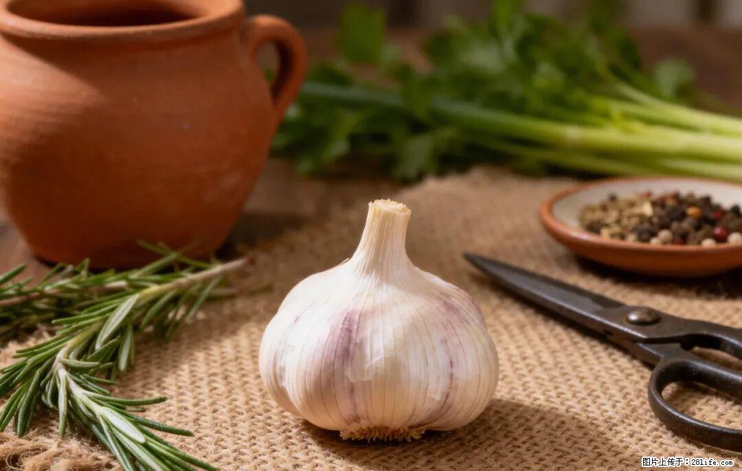 关于大蒜，除了“天然抗生素”，这4个谣言更该警惕! - 南充生活资讯 - 南充28生活网 nanchong.28life.com