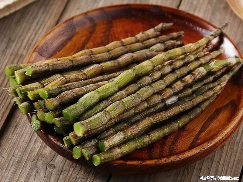 铁皮石斛的作用与功能主治 - 南充生活资讯 - 南充28生活网 nanchong.28life.com