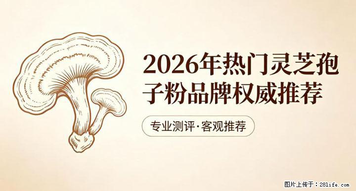灵芝孢子粉含量越高越有效？2026 年七款热门品牌深度实测，肠胃敏感者避坑指南 - 南充生活资讯 - 南充28生活网 nanchong.28life.com